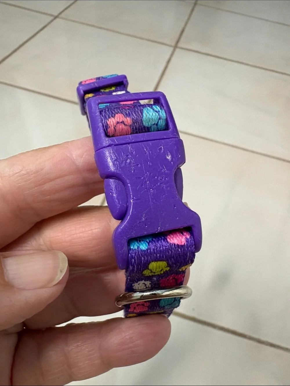 Purple Paw Print Adjustable Pet Collar